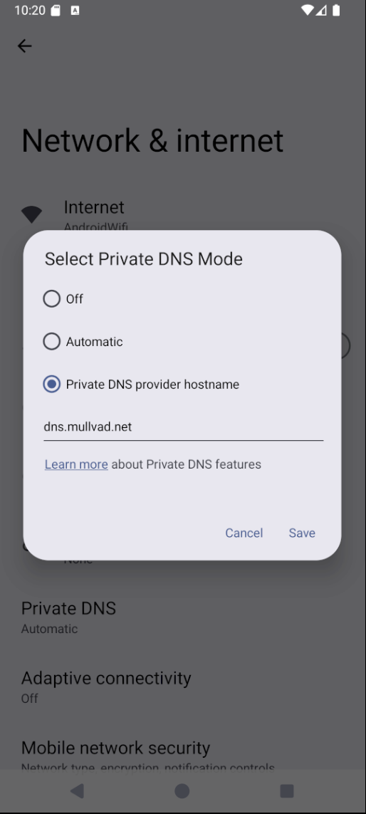Settings Network DNS screenshot.