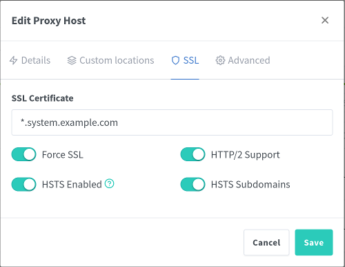 Nginx proxy host SSL.